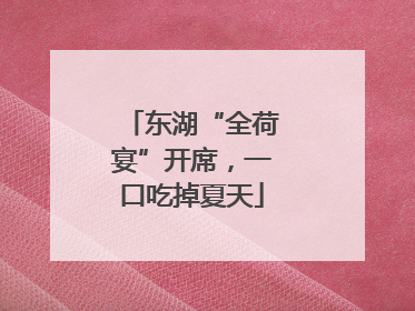 东湖“全荷宴”开席，一口吃掉夏天