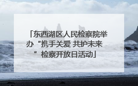 东西湖区人民检察院举办“携手关爱 共护未来”检察开放日活动
