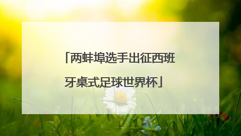 两蚌埠选手出征西班牙桌式足球世界杯