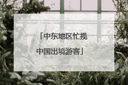 中东地区忙揽中国出境游客