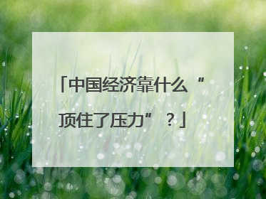 中国经济靠什么“顶住了压力”？