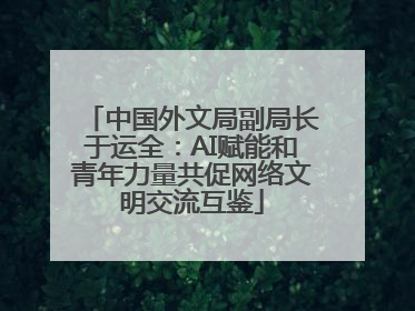 中国外文局副局长于运全：AI赋能和青年力量共促网络文明交流互鉴