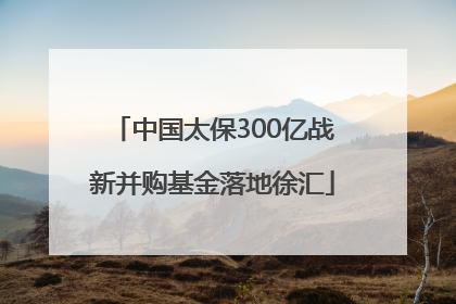 中国太保300亿战新并购基金落地徐汇