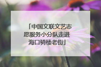 中国文联文艺志愿服务小分队走进海口骑楼老街