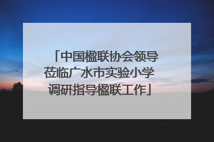中国楹联协会领导莅临广水市实验小学调研指导楹联工作
