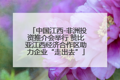 中国江西-非洲投资推介会举行 赞比亚江西经济合作区助力企业“走出去”