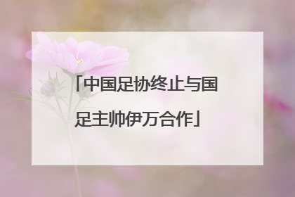 中国足协终止与国足主帅伊万合作