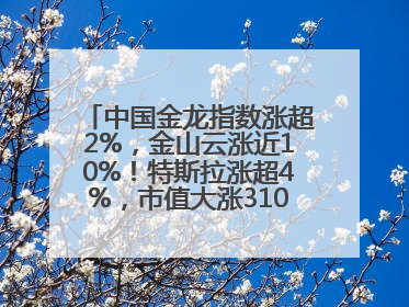 中国金龙指数涨超2%，金山云涨近10%！特斯拉涨超4%，市值大涨3100亿元！比特币涨回11万美元关口
