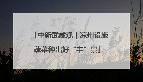 中新武威观｜凉州设施蔬菜种出好“丰”景