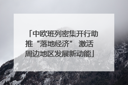 中欧班列密集开行助推“落地经济” 激活周边地区发展新动能