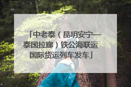 中老泰（昆明安宁—泰国拉廊）铁公海联运国际货运列车发车