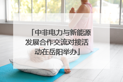 中非电力与新能源发展合作交流对接活动在岳阳举办