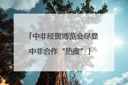 中非经贸博览会尽显中非合作“热度”