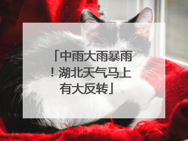 中雨大雨暴雨！湖北天气马上有大反转