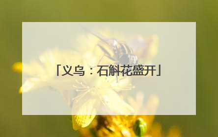 义乌：石斛花盛开