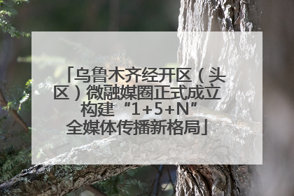 乌鲁木齐经开区（头区）微融媒圈正式成立 构建“1+5+N”全媒体传播新格局
