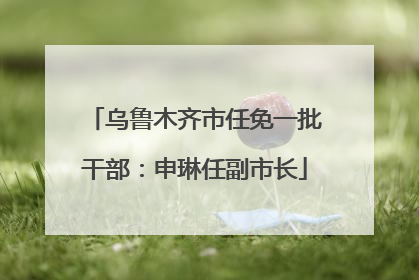 乌鲁木齐市任免一批干部：申琳任副市长
