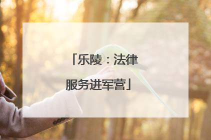 乐陵：法律服务进军营