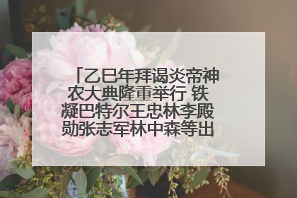 乙巳年拜谒炎帝神农大典隆重举行 铁凝巴特尔王忠林李殿勋张志军林中森等出席 孙伟主持