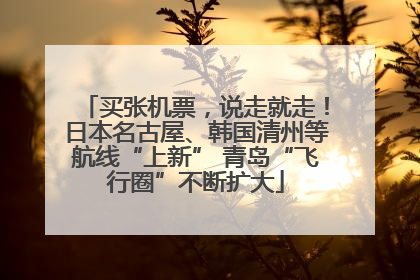 买张机票，说走就走！日本名古屋、韩国清州等航线“上新” 青岛“飞行圈”不断扩大