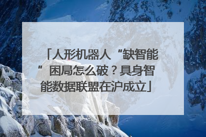 人形机器人“缺智能”困局怎么破？具身智能数据联盟在沪成立