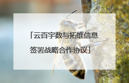 云百宇数与拓维信息签署战略合作协议