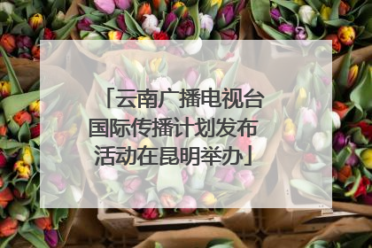 云南广播电视台国际传播计划发布活动在昆明举办