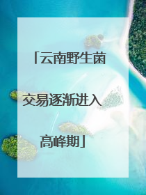 云南野生菌交易逐渐进入高峰期