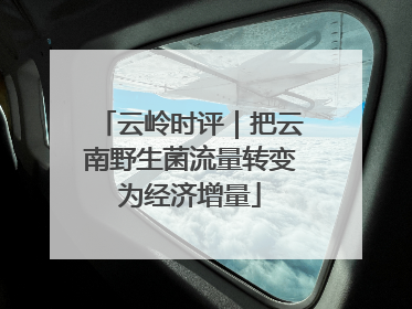 云岭时评｜把云南野生菌流量转变为经济增量