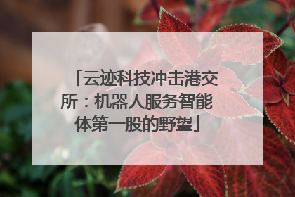 云迹科技冲击港交所：机器人服务智能体第一股的野望