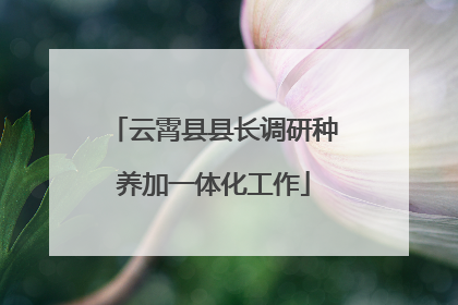 云霄县县长调研种养加一体化工作