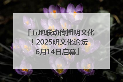 五地联动传播明文化！2025明文化论坛6月14日启幕