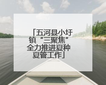 五河县小圩镇“三聚焦”全力推进夏种夏管工作
