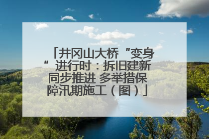 井冈山大桥“变身”进行时：拆旧建新同步推进 多举措保障汛期施工（图）