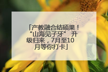 产教融合结硕果！“山海见子牙” 升级归来，7月至10 月等你打卡