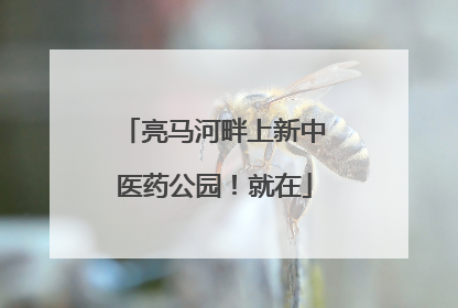 亮马河畔上新中医药公园！就在