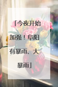 今夜开始加强！阜阳有暴雨、大暴雨