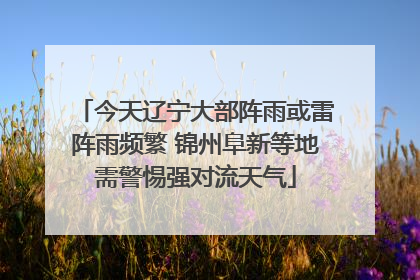今天辽宁大部阵雨或雷阵雨频繁 锦州阜新等地需警惕强对流天气