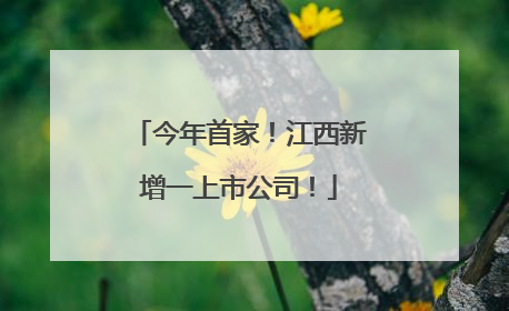 今年首家！江西新增一上市公司！