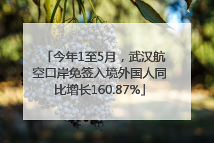 今年1至5月，武汉航空口岸免签入境外国人同比增长160.87%