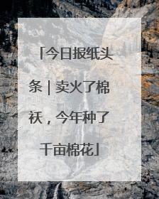 今日报纸头条｜卖火了棉袄，今年种了千亩棉花