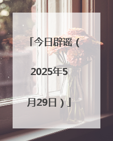 今日辟谣（2025年5月29日）
