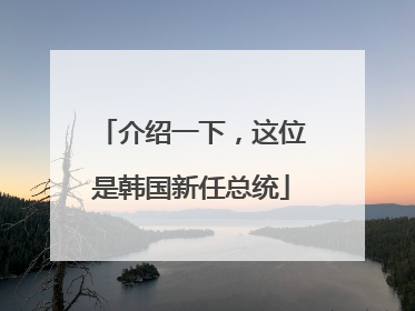 介绍一下，这位是韩国新任总统