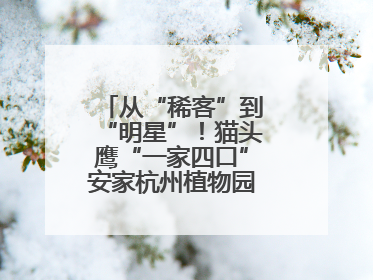 从“稀客”到“明星”！猫头鹰“一家四口”安家杭州植物园背后的守护