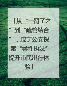 从“一罚了之”到“疏管结合”，咸宁公安探索“柔性执法”提升市民出行体验