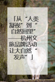 从“人类凝视”到“自然回望”——杭州文旅品牌活动让大自然“发声”