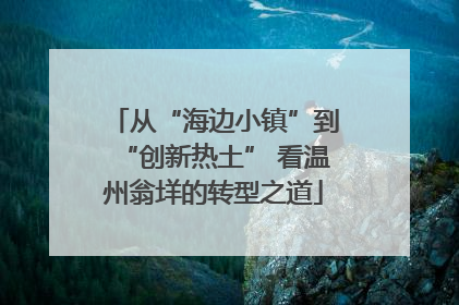 从“海边小镇”到“创新热土” 看温州翁垟的转型之道