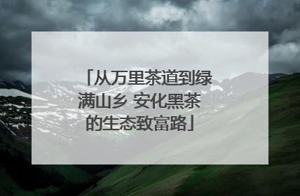 从万里茶道到绿满山乡 安化黑茶的生态致富路