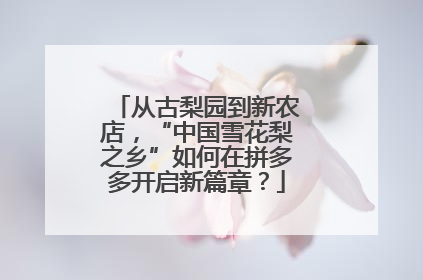 从古梨园到新农店，“中国雪花梨之乡”如何在拼多多开启新篇章？