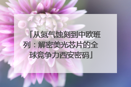 从氮气蚀刻到中欧班列：解密美光芯片的全球竞争力西安密码